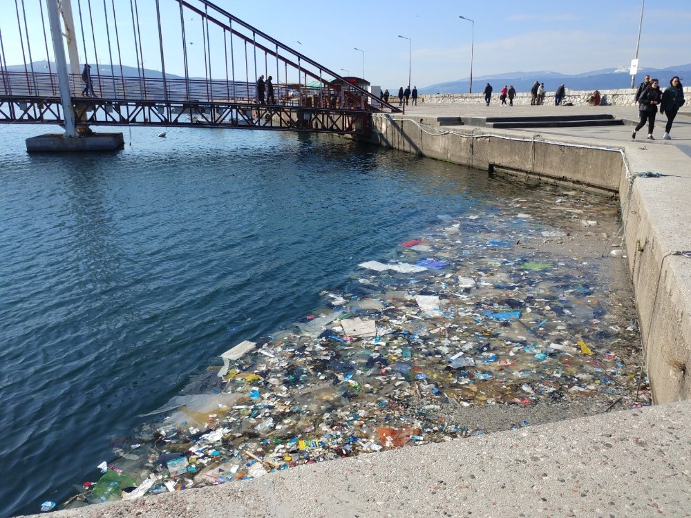 Environmental Pollution: Our Seas Are in Danger